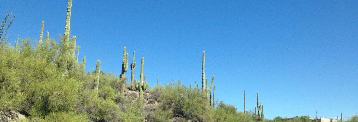 If you only visit one state in America – make it Arizona