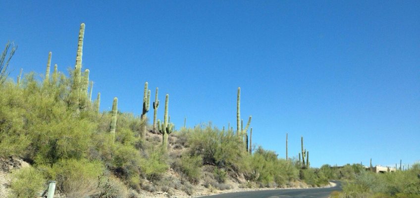 If you only visit one state in America – make it Arizona